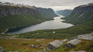 Et fredelig norsk landskap med en hint av mystikk, som representerer den uklare definisjonen av 'Kopardals'.