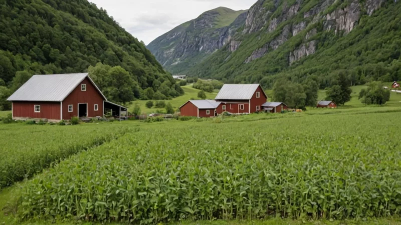 bærekraftig matproduksjon, norske ord, økologi, økologisk landbruk, agroøkologi