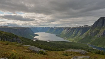 norsk språk, miljøbevissthet, idiomatiske uttrykk, kultur, bærekraft